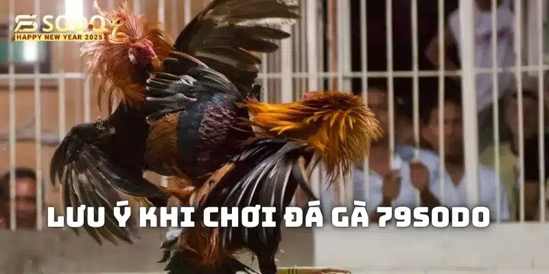 Những tiêu chí quan trọng để chọi kê trực tuyến xanh chín, hiệu quả